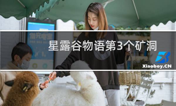 星露谷物语第3个矿洞