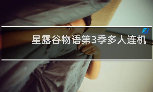 星露谷物语第3季多人连机