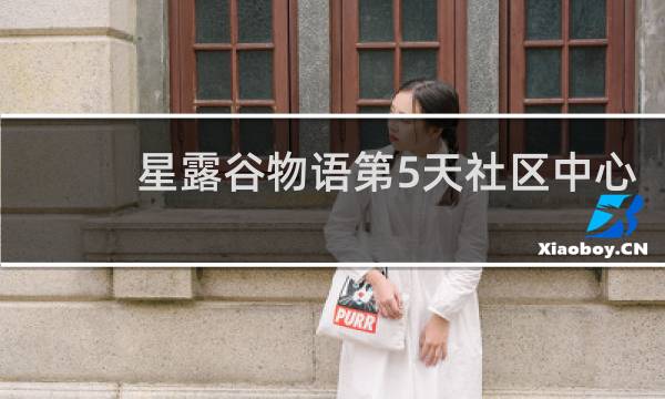 星露谷物语第5天社区中心