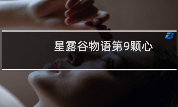 星露谷物语第9颗心