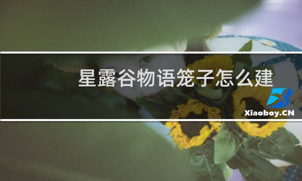 星露谷物语笼子怎么建