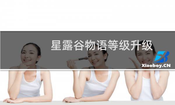 星露谷物语等级升级