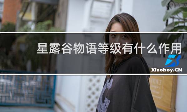 星露谷物语等级有什么作用
