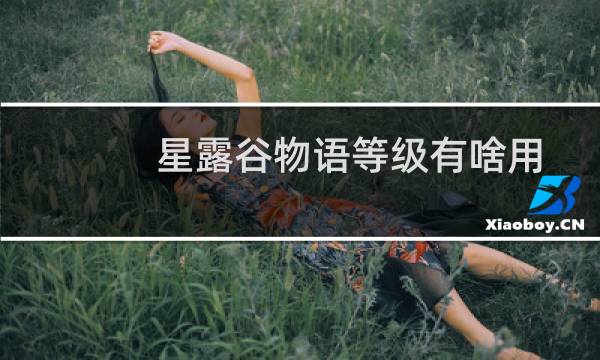星露谷物语等级有啥用