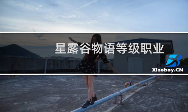 星露谷物语等级职业