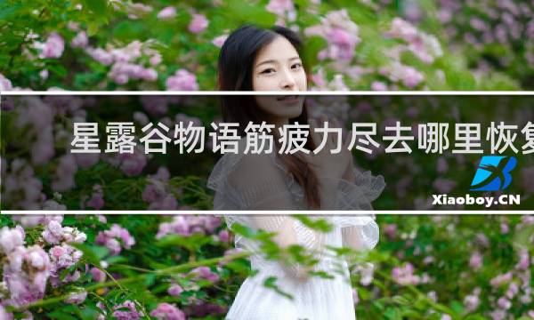 星露谷物语筋疲力尽去哪里恢复