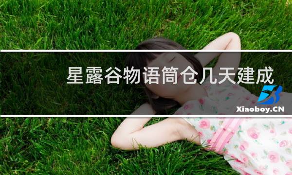星露谷物语筒仓几天建成