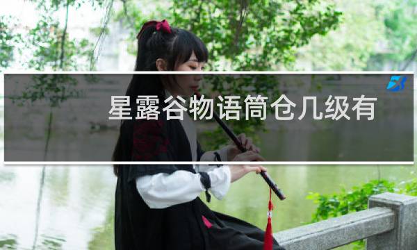 星露谷物语筒仓几级有