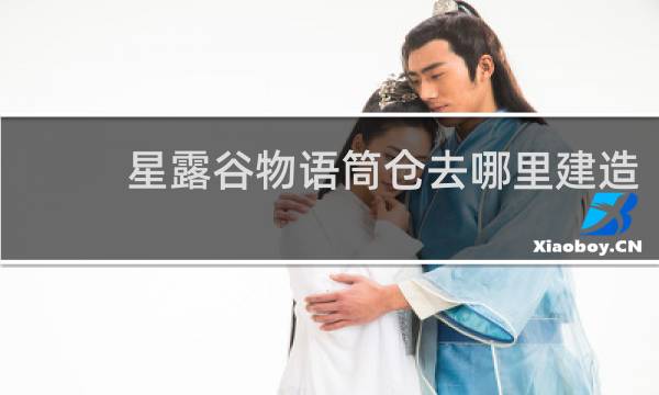 星露谷物语筒仓去哪里建造
