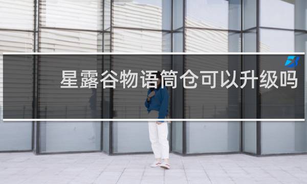 星露谷物语筒仓可以升级吗