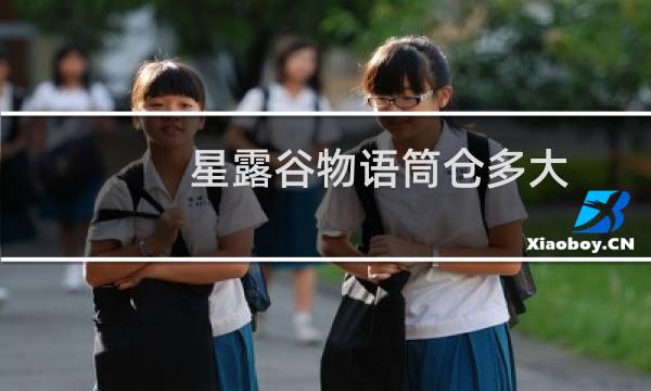 星露谷物语筒仓多大