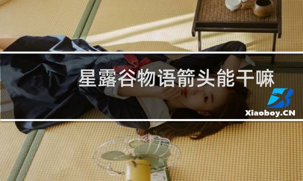 星露谷物语箭头能干嘛