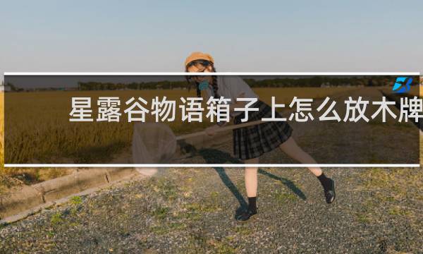 星露谷物语箱子上怎么放木牌