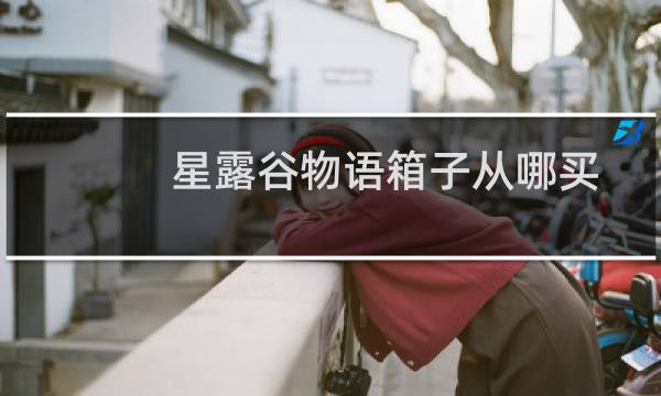 星露谷物语箱子从哪买