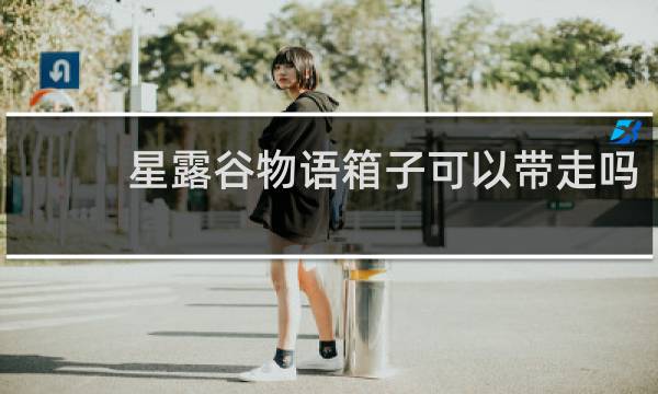 星露谷物语箱子可以带走吗