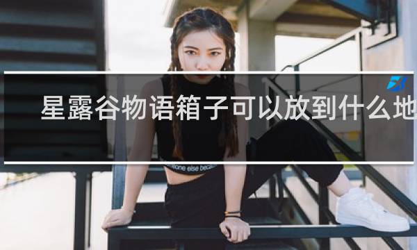 星露谷物语箱子可以放到什么地方