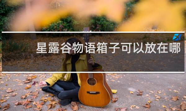 星露谷物语箱子可以放在哪