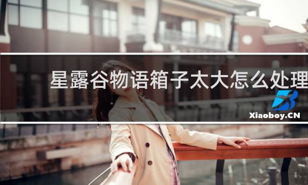 星露谷物语箱子太大怎么处理