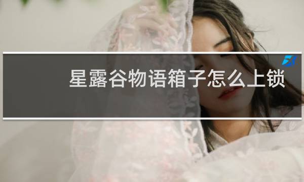 星露谷物语箱子怎么上锁