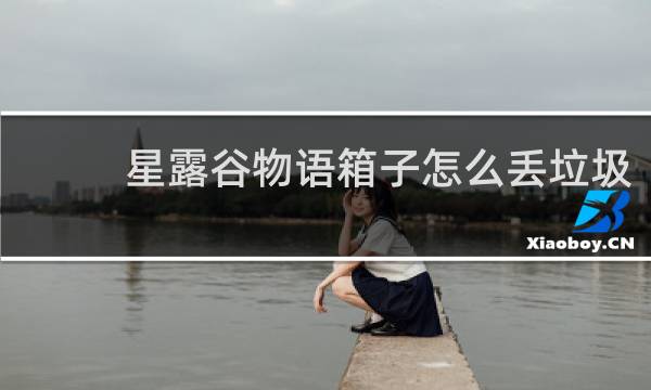 星露谷物语箱子怎么丢垃圾