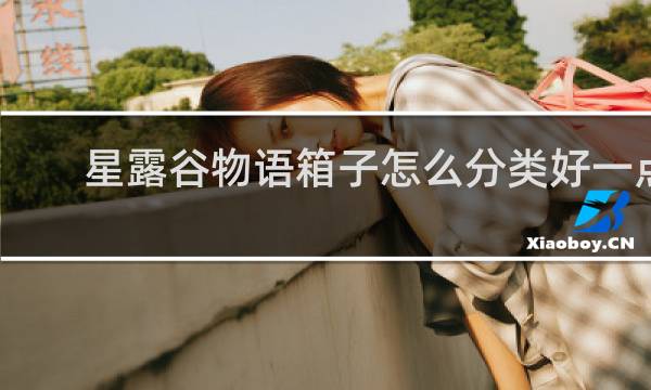星露谷物语箱子怎么分类好一点