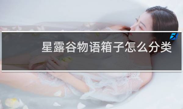 星露谷物语箱子怎么分类