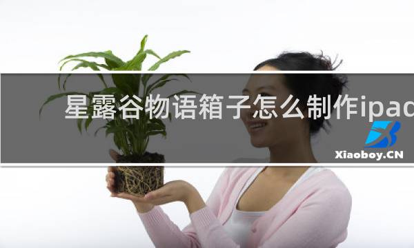 星露谷物语箱子怎么制作ipad