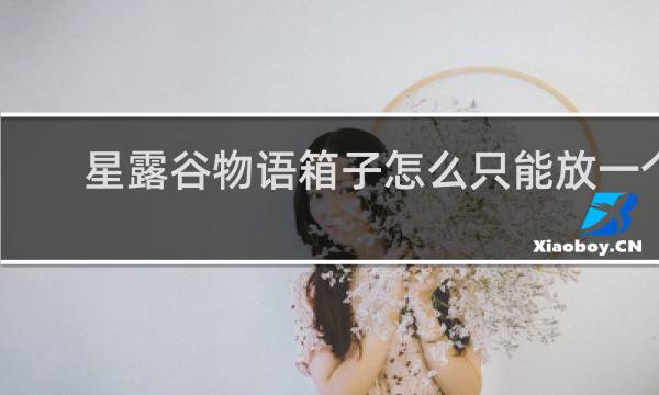 星露谷物语箱子怎么只能放一个