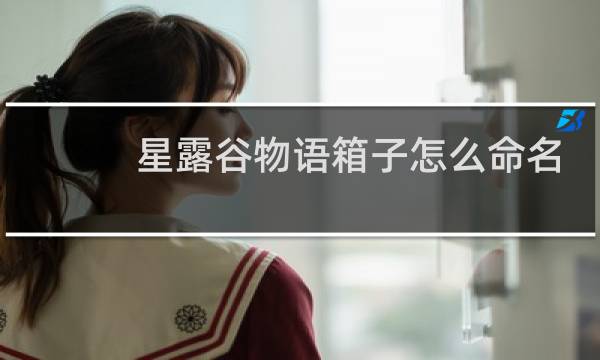星露谷物语箱子怎么命名