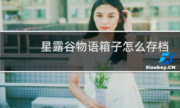 星露谷物语箱子怎么存档