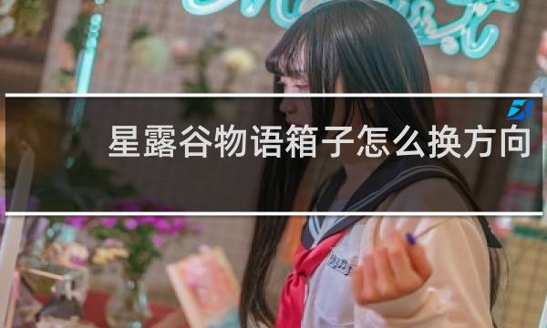 星露谷物语箱子怎么换方向