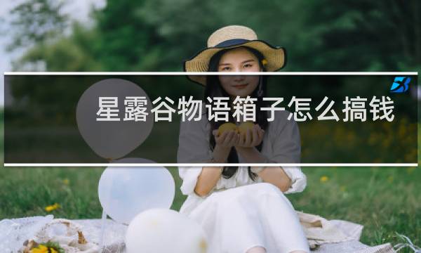 星露谷物语箱子怎么搞钱