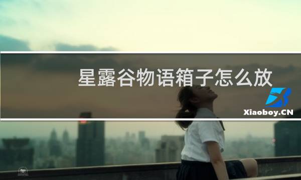 星露谷物语箱子怎么放