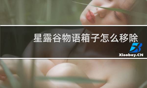 星露谷物语箱子怎么移除