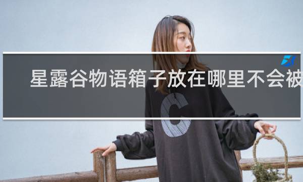 星露谷物语箱子放在哪里不会被踢