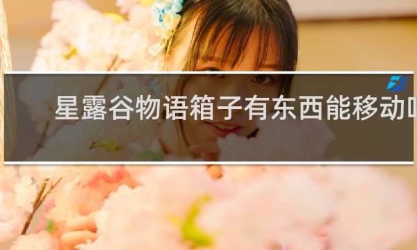 星露谷物语箱子有东西能移动吗