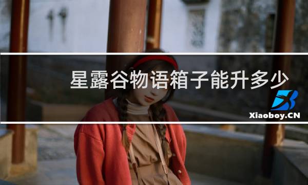 星露谷物语箱子能升多少