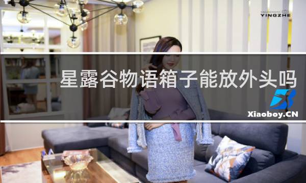 星露谷物语箱子能放外头吗