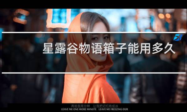 星露谷物语箱子能用多久