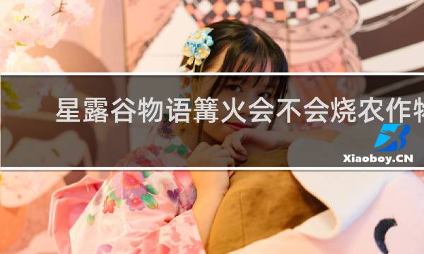 星露谷物语篝火会不会烧农作物