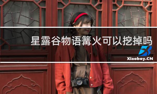 星露谷物语篝火可以挖掉吗