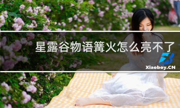 星露谷物语篝火怎么亮不了