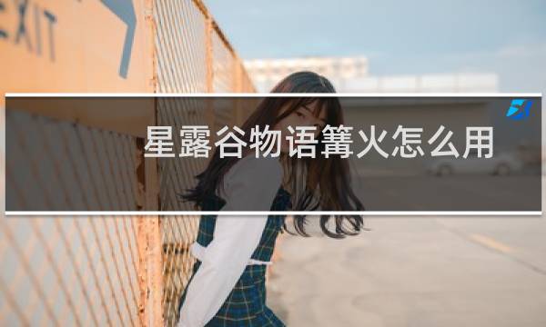 星露谷物语篝火怎么用