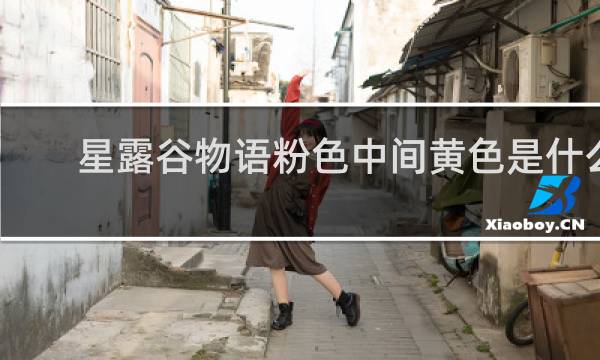 星露谷物语粉色中间黄色是什么