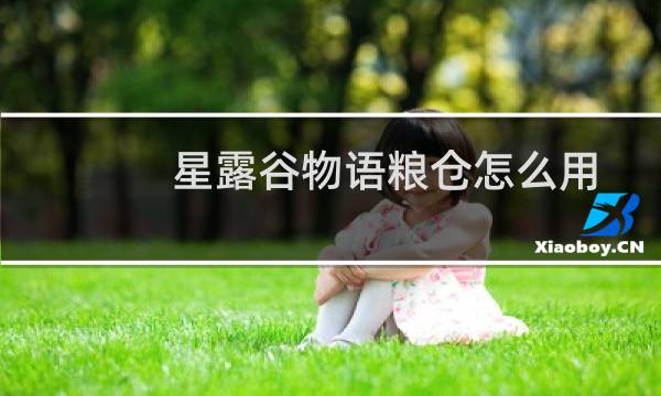 星露谷物语粮仓怎么用