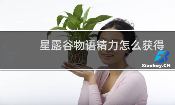 星露谷物语精力怎么获得