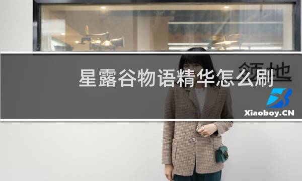星露谷物语精华怎么刷