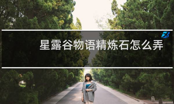 星露谷物语精炼石怎么弄