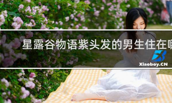 星露谷物语紫头发的男生住在哪