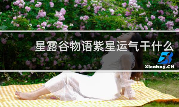 星露谷物语紫星运气干什么